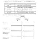 Science 8 Lenses Worksheet In 2020 Worksheets Science Lenses