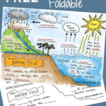 Science Doodle FREE The Water Cycle Interactive Notebook BUNDLE