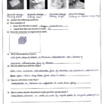 Science DPSkamal Grade 5 Answer Key Of All Revision Worksheets