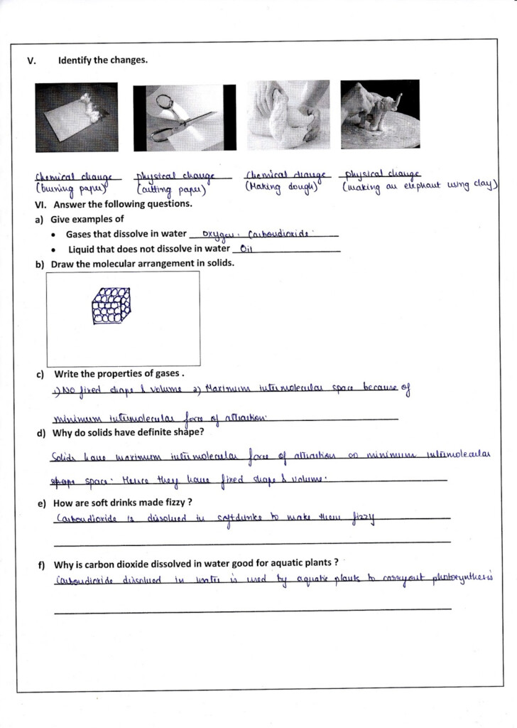 Science DPSkamal Grade 5 Answer Key Of All Revision Worksheets