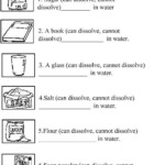 Science For Primary School Year 2 Unit 7 Exercises Free Worksheets