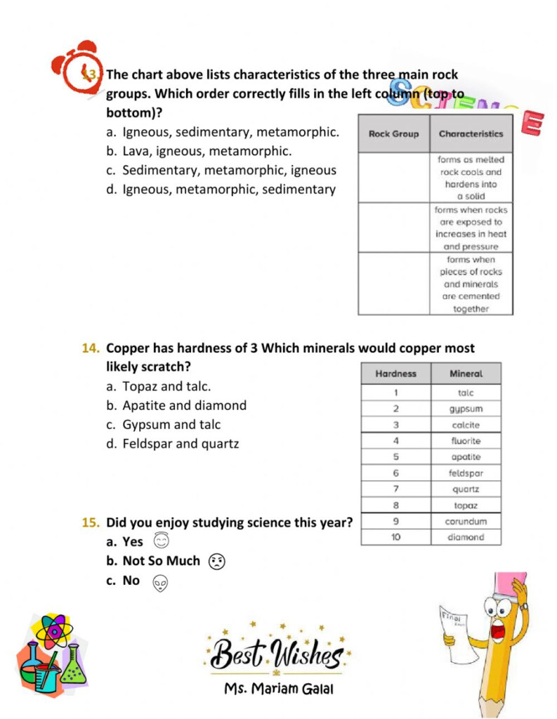Science Grade 5 Term 3 Practice Exam Worksheet