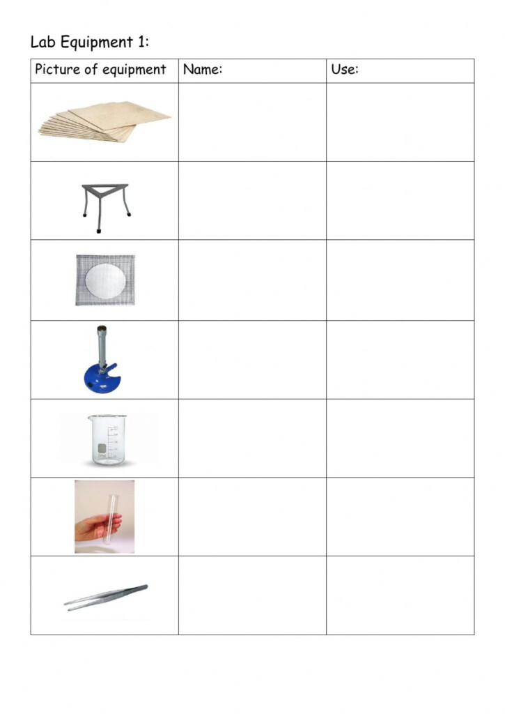 Science Lab Equipment Worksheet Answers Lab Equipment Quiz Worksheet 