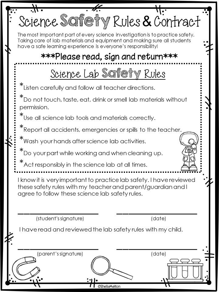 Science Lab Safety Contract FREEBIE Science Lab Safety Science Lab 