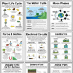 Science Poster And Anchor Chart Bundle In 2020 Science Anchor Charts