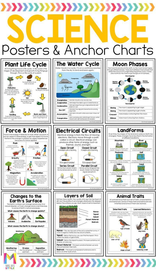 Science Poster And Anchor Chart Bundle In 2020 Science Anchor Charts 