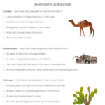 Science Predator Or Prey Worksheet PrimaryLeap co uk