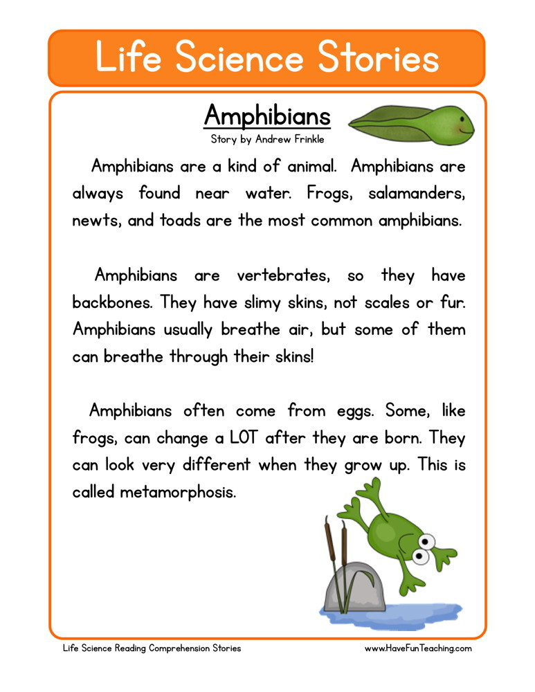 4th Grade Science Reading Worksheet - Scienceworksheets.net