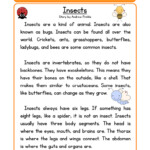 Science Tools Worksheets For 2nd Grade Science Tools Printable 1st