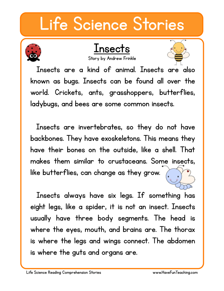 Science Tools Worksheets For 2nd Grade Science Tools Printable 1st 