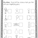 Science Tools Worksheets For First Grade My Worksheet Time