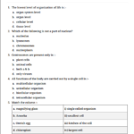 Science Worksheet 8th Std CBSE Board With Answers In English Medium