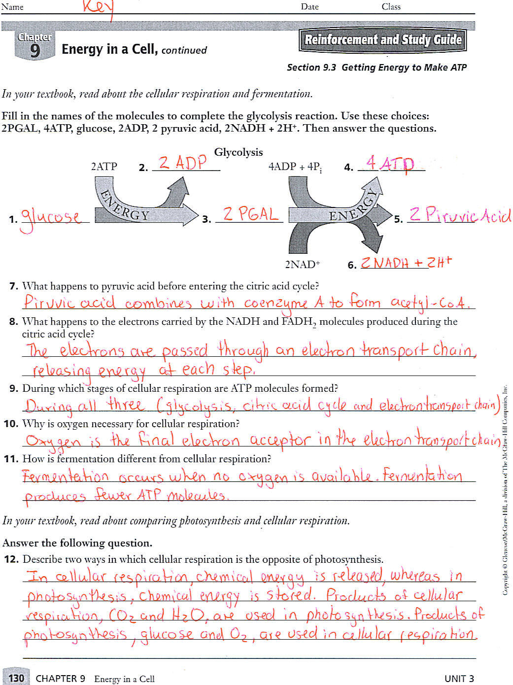 Science Worksheets For 9th Grade