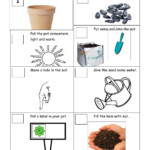 Science Worksheets For Grade 2 Plants 2nd Grade Science Worksheets