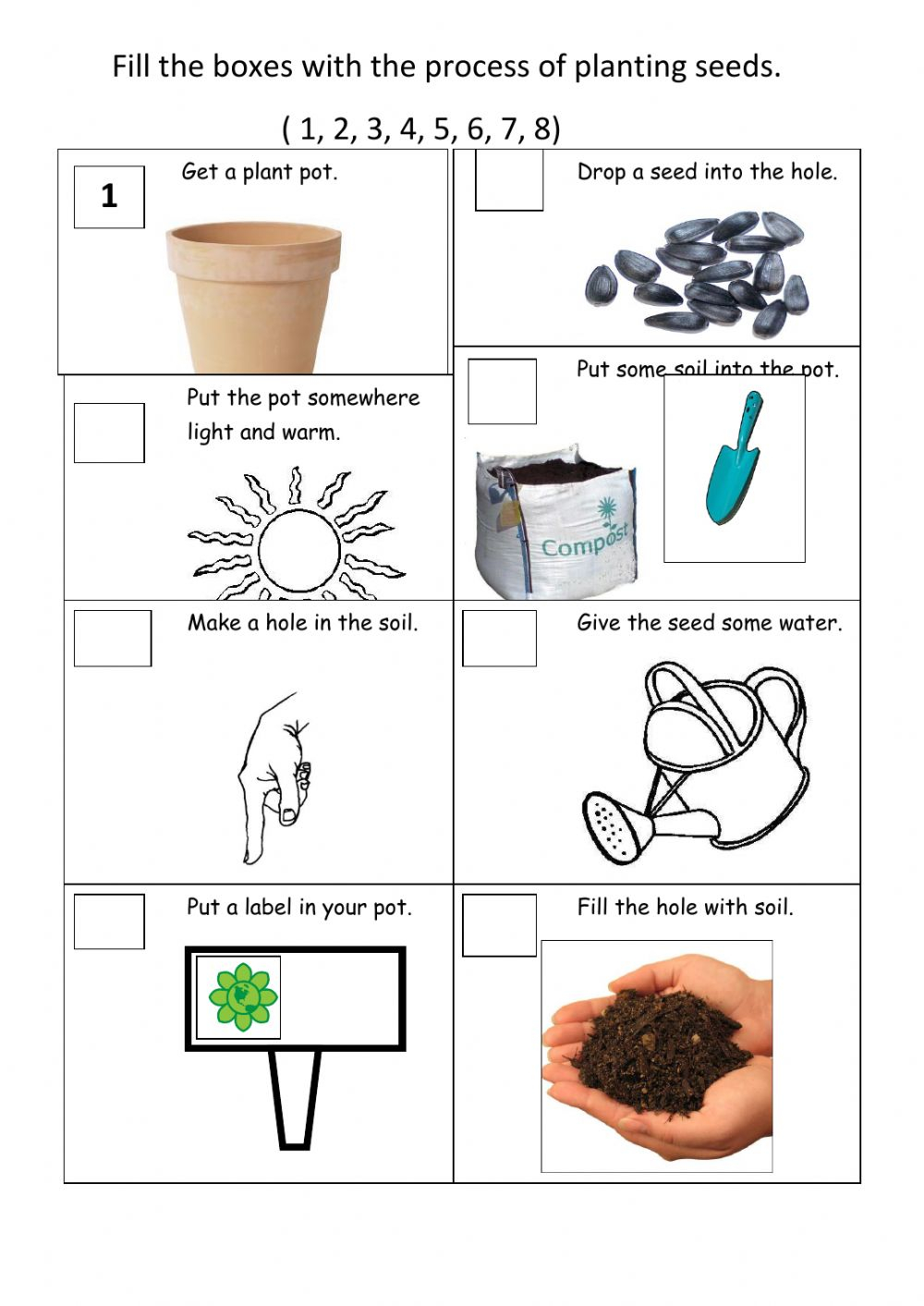 Science Worksheets For Grade 2 Plants 2nd Grade Science Worksheets ...