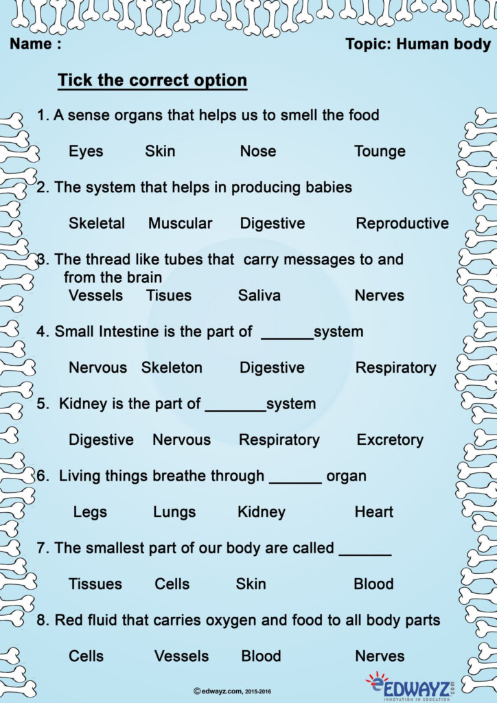 Science Worksheets For Grade 3 Human Body Kidsworksheetfun
