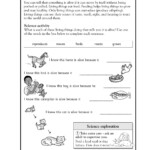 Science Worksheets Free Printable Science Worksheets For 2Nd Grade