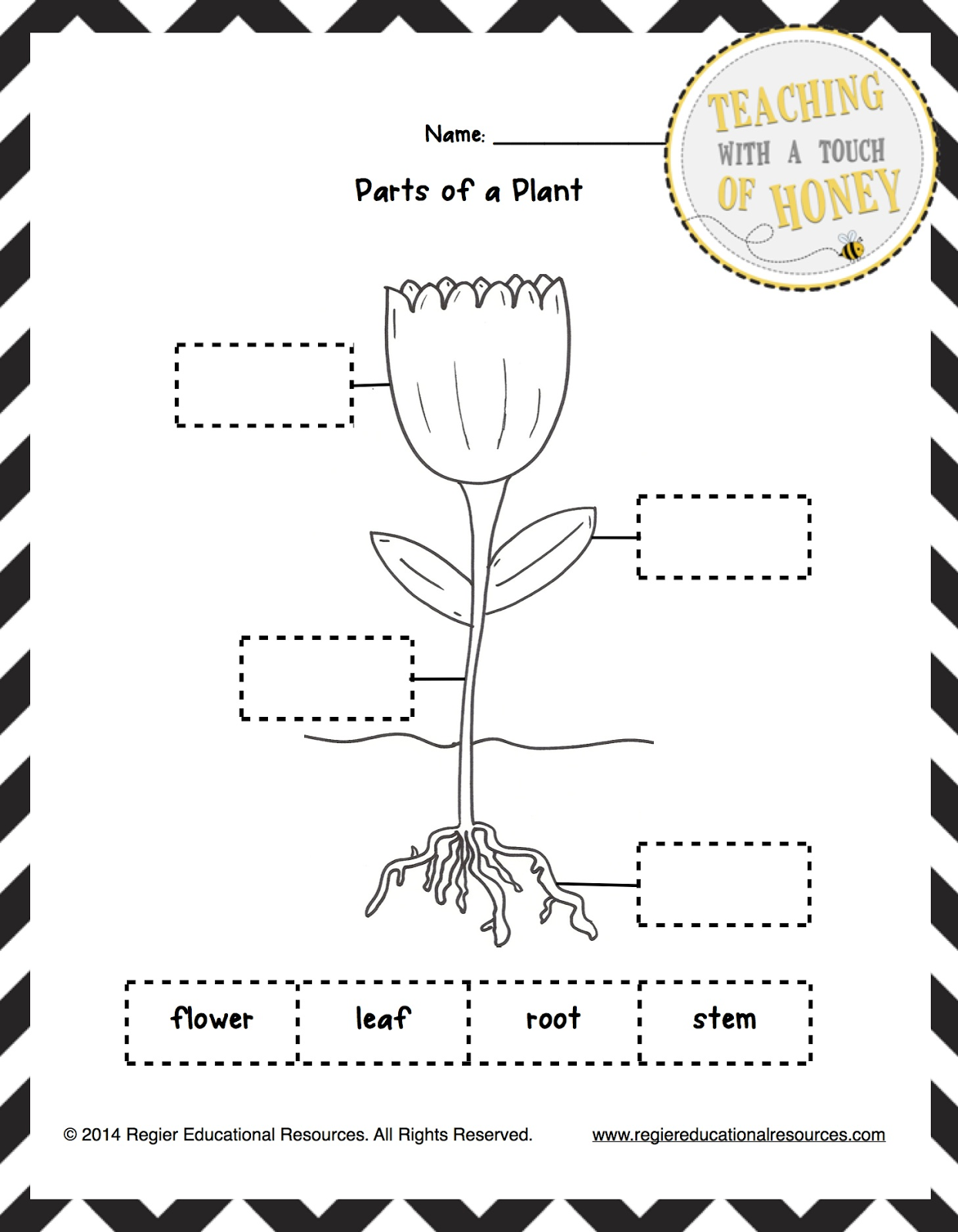 SCIENCE WORKSHEETS GRADE 2 PLANTS SCIENCE WORKSHEETS 2 GRADE PLANTS ...