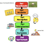 Scientific Method Worksheet 7th Grade Escolagersonalvesgui