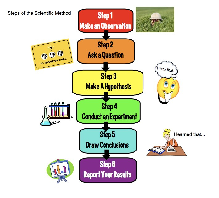 Scientific Method Worksheet 7th Grade Escolagersonalvesgui