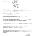 September Worksheets Morris 7th Grade Science Class