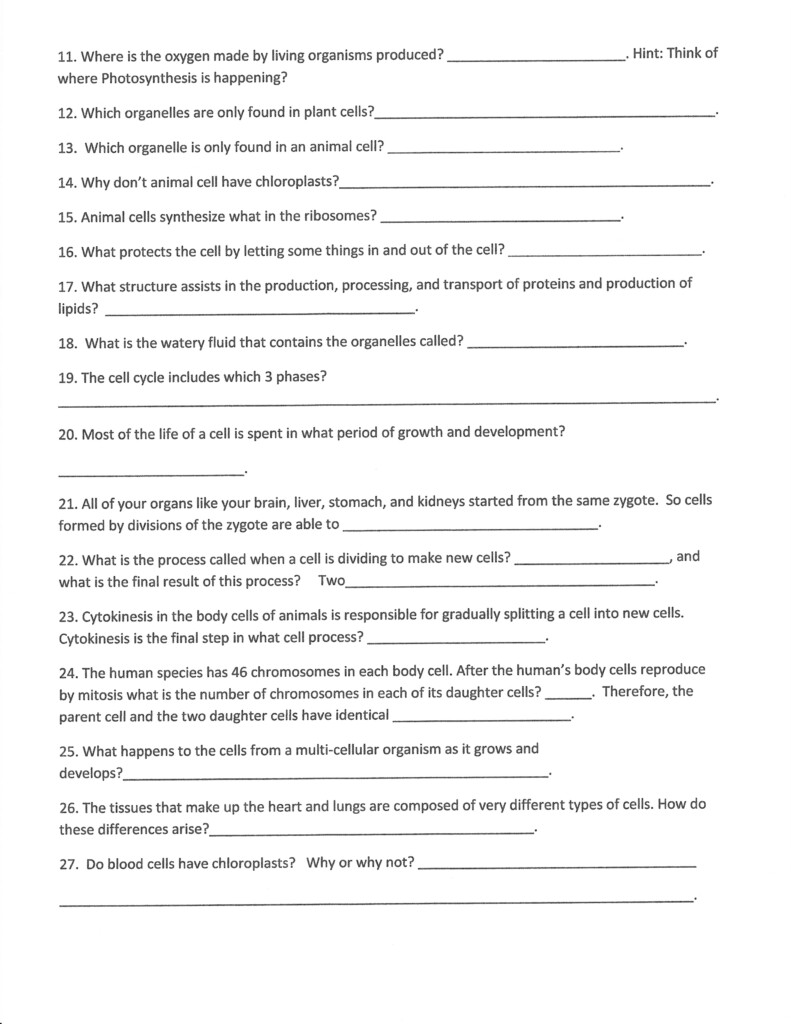 September Worksheets Morris 7th Grade Science Class