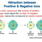 Single Working Mom Ions That Carry A Positive Charge Are Called