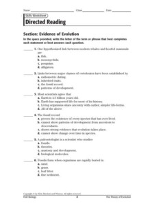 Skills Worksheet Directed Reading Answers Earth Science ...