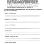 Sly 6th Grade Science Printable Worksheets Barrett Website