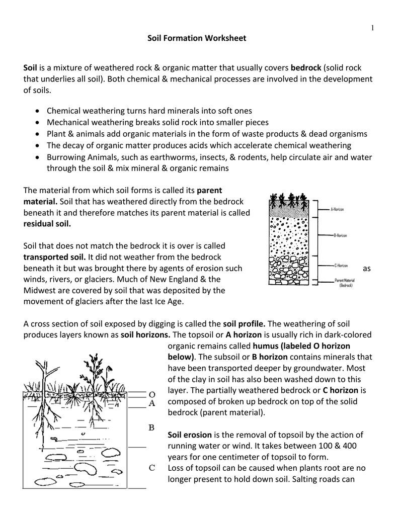 Soil Formation Worksheet Soil Of Soils 