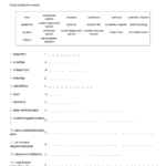 Solutions Cloze Worksheet Answers Escolagersonalvesgui