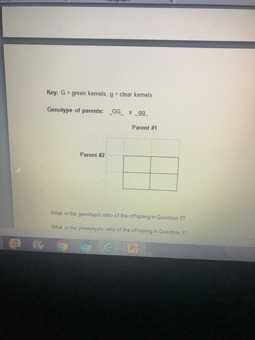 Solved Unit II Assignment Genetics Worksheet Gregor Mende Chegg