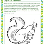 Squirrel Science Worksheet 1st Grade Kids Printable SoD