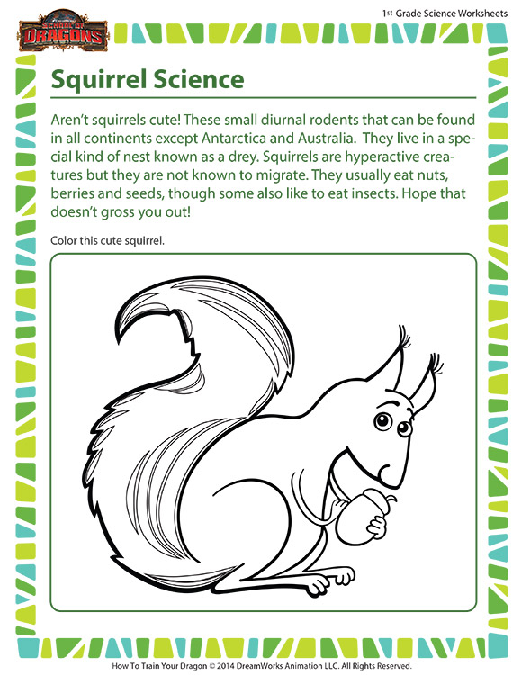 Squirrel Science Worksheet 1st Grade Kids Printable SoD