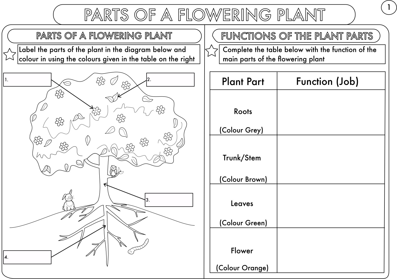 Igcse Grade 3 Science Worksheets Scienceworksheets