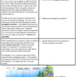 Succession Worksheet Answers Worksheet