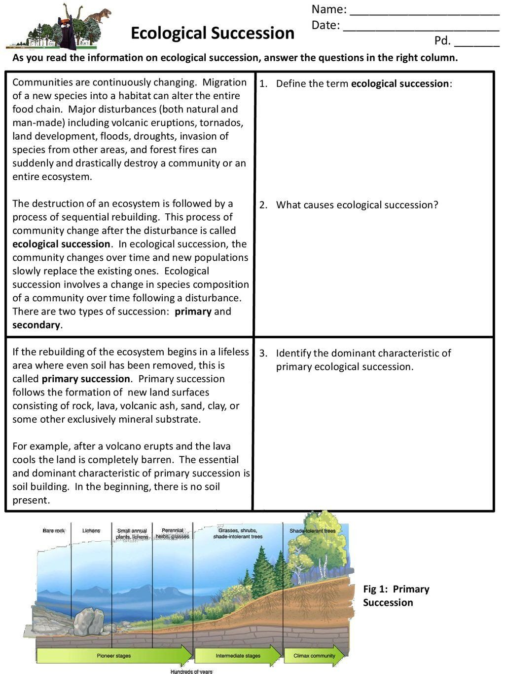 Succession Worksheet Answers Worksheet