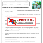 Super Teacher Worksheets Answer Key Science Slideshare