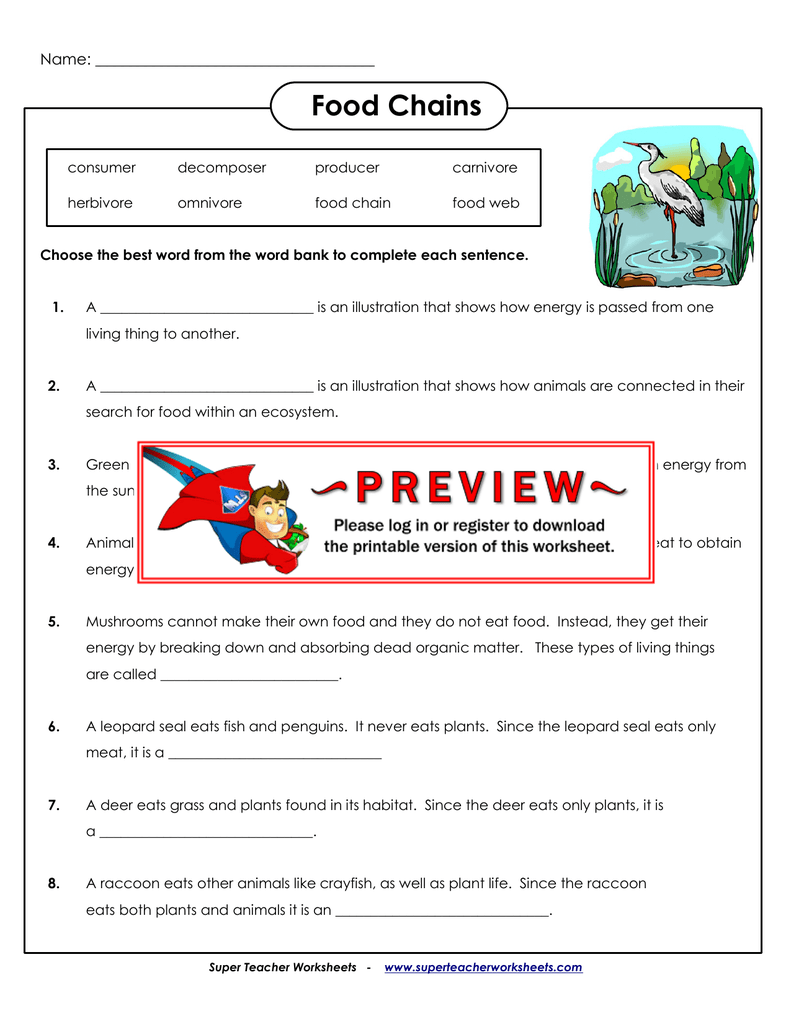 Super Teacher Worksheets Answer Key Science Slideshare