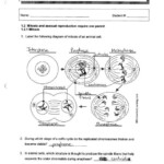 Sw Science 10 Unit 1 Mitosis Worksheet Worksheet