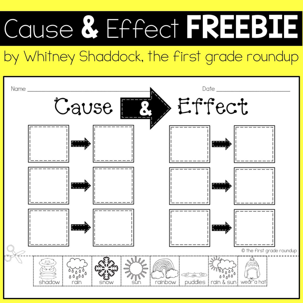 Teach Child How To Read 1st Grade Science Cause And Effect Worksheets