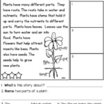 Teach Child How To Read First Grade Science Worksheets For Grade 2 Plants