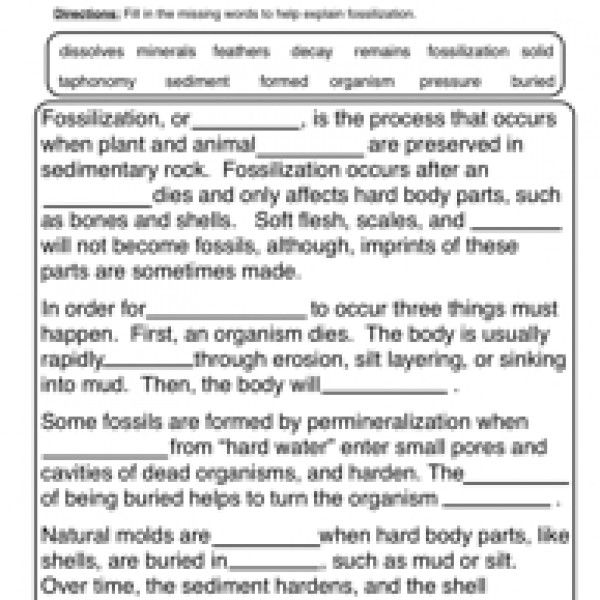 Teach Child How To Read Middle School 7th Grade Science Worksheets Pdf