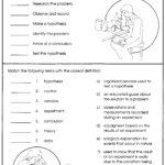 Teach Child How To Read Middle School 7th Grade Science Worksheets Pdf