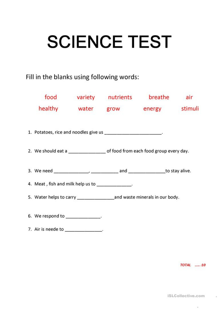 Test Science Human Grade 2 Primary Worksheet Free ESL Printable 