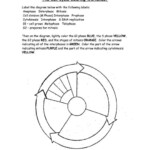 The Cell Cycle Coloring Worksheet Page 2 Of 2 In Pdf Cell Cycle