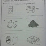 The City School Grade 4 Science Reinforcement Worksheets