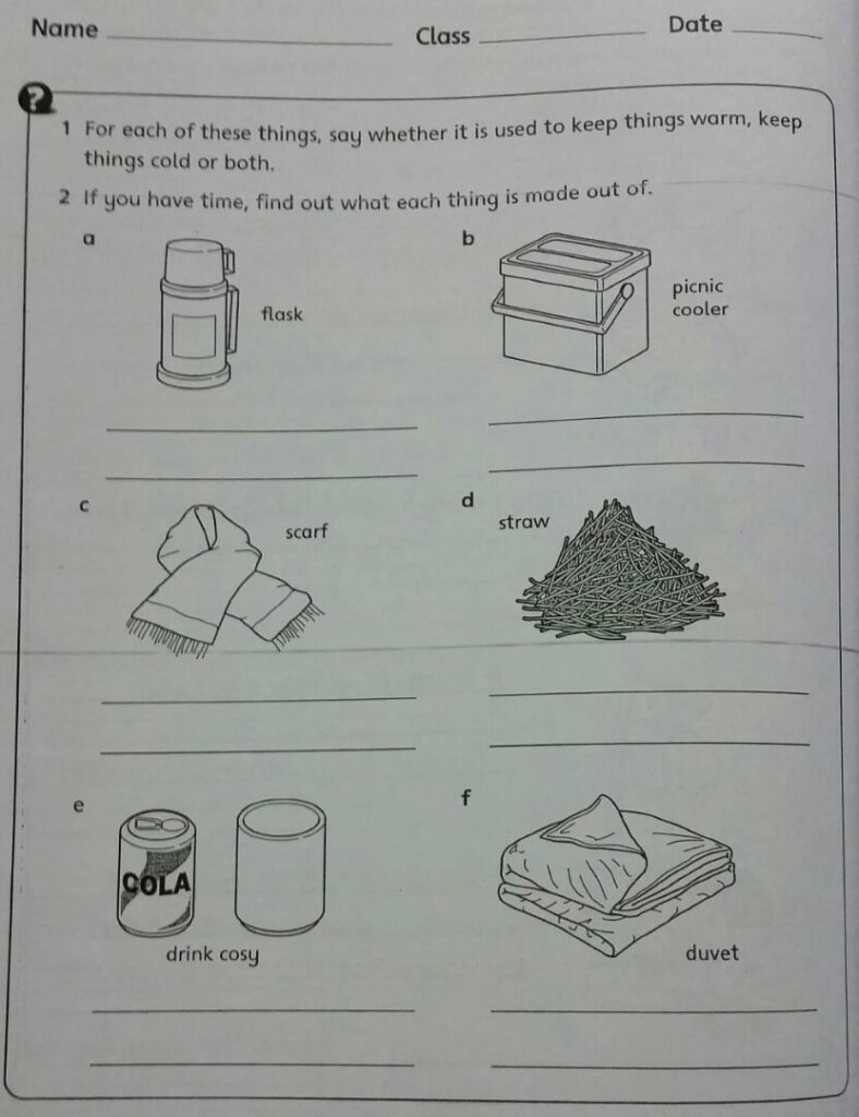 The City School Grade 4 Science Reinforcement Worksheets