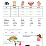 The Five Senses 2 Worksheet Five Senses Worksheet English Lessons