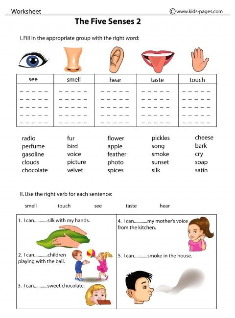 The Five Senses 2 Worksheet Five Senses Worksheet English Lessons 